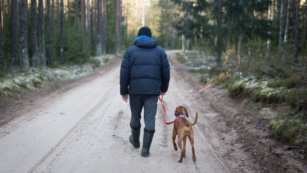 outdoors, man with dog, tourism-3268637.jpg